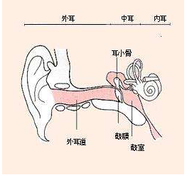 外耳道炎